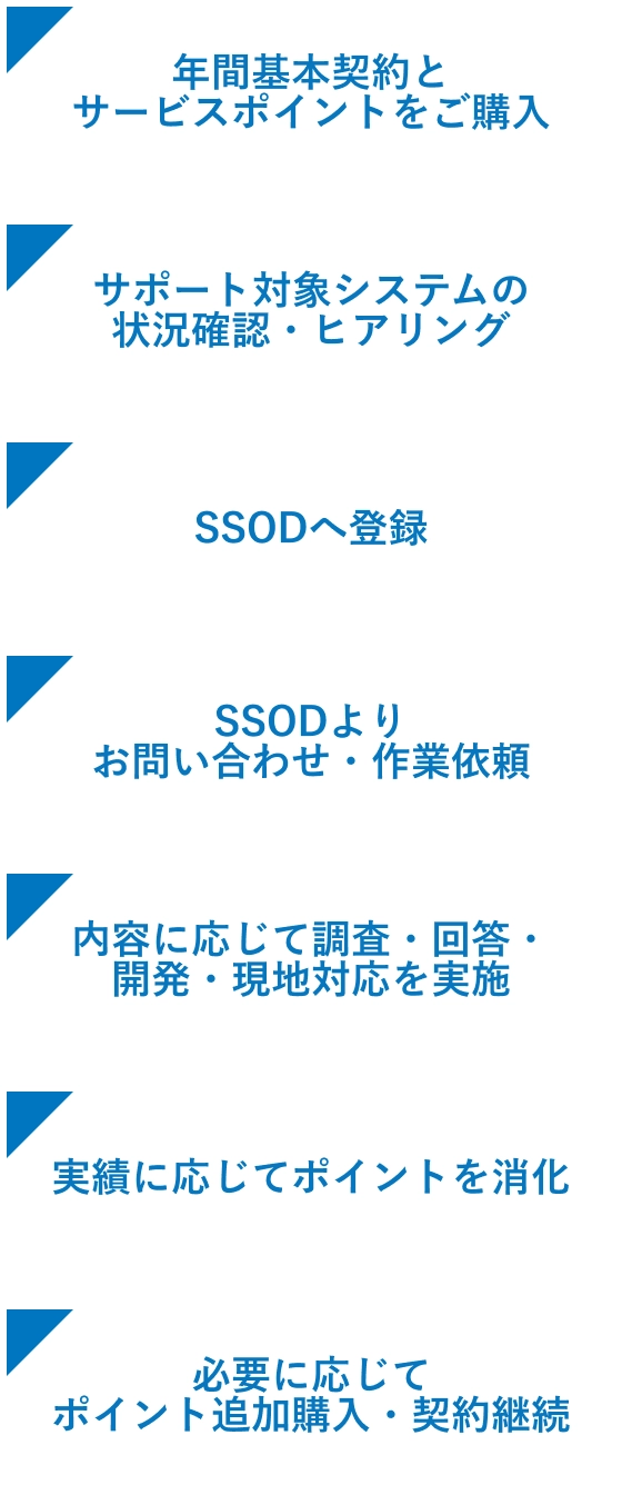 APSP導入支援の流れ
